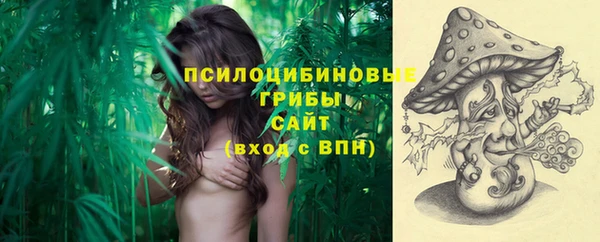mix Абаза