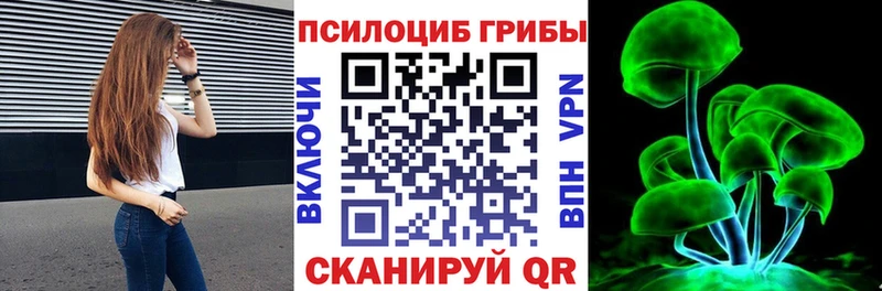 Псилоцибиновые грибы Psilocybe  blacksprut онион  Дербент 