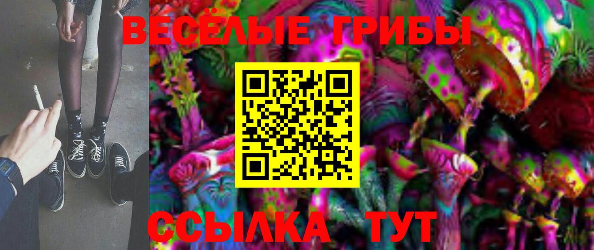 Галлюциногенные грибы GOLDEN TEACHER  Псилоцибиновые грибы Psilocybine cubensis  Вход с VPN  Дербент 