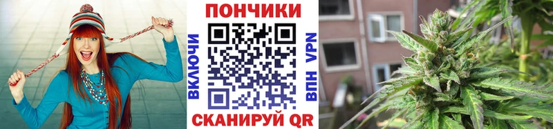 Марихуана White Widow  где купить   Дербент 